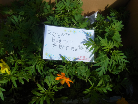 タローさん10.4_04.jpg
